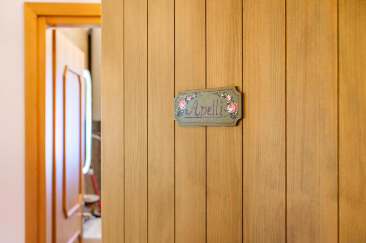 Appartement Ciasa Apelli à Pozza di Fassa Extérieur photo
